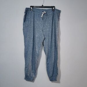 Kirkland Signature Blue Jogger Pants